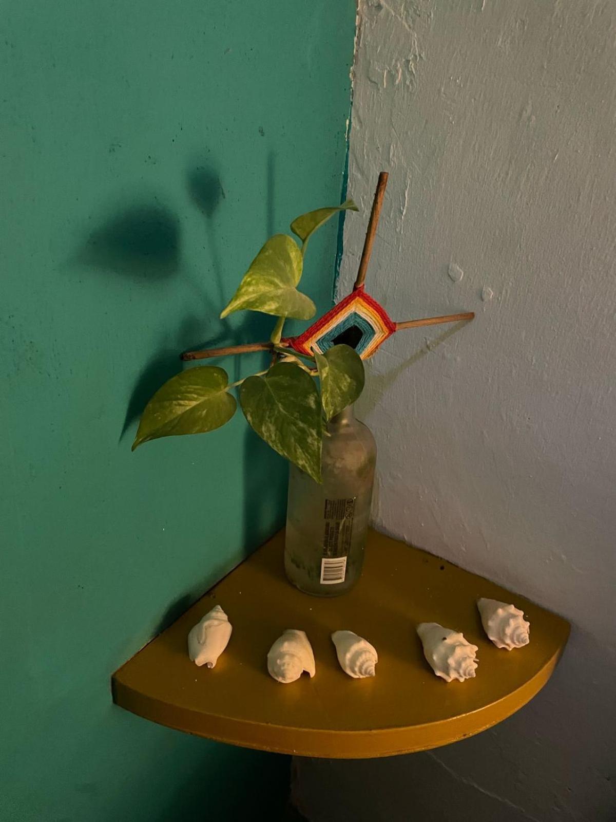 La Casa Del Keej Hostel Merida Ngoại thất bức ảnh